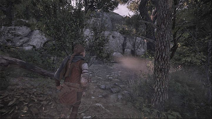 You can find this secret early on in the chapter, right after freeing the boat and trying to catch up to it - Plague Tale Requiem: Chapter 5 (In Our Wake) - list of secrets - Hugo Herbarium and Souvenirs - A Plague Tale Requiem Guide, Walkthrough
