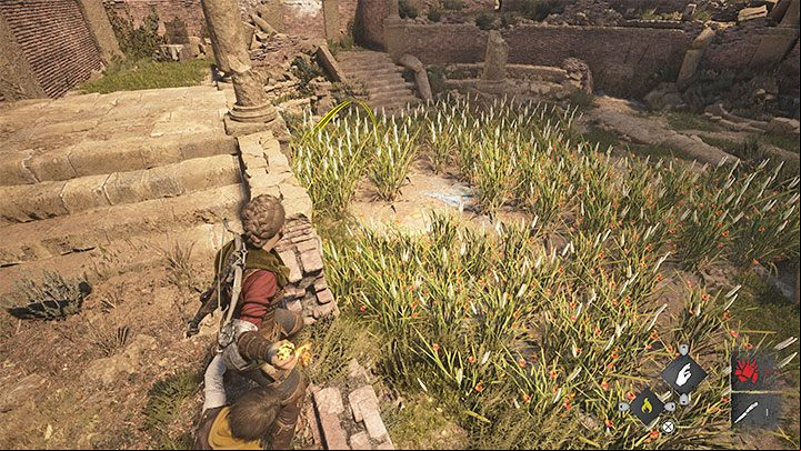 In the ruins of the ancient theater you will notice symbols painted on the ground - Plague Tale Requiem: Chapter 9, Explore The Island - walkthrough - Chapter 9 - Tales and Revelations - A Plague Tale Requiem Guide, Walkthrough