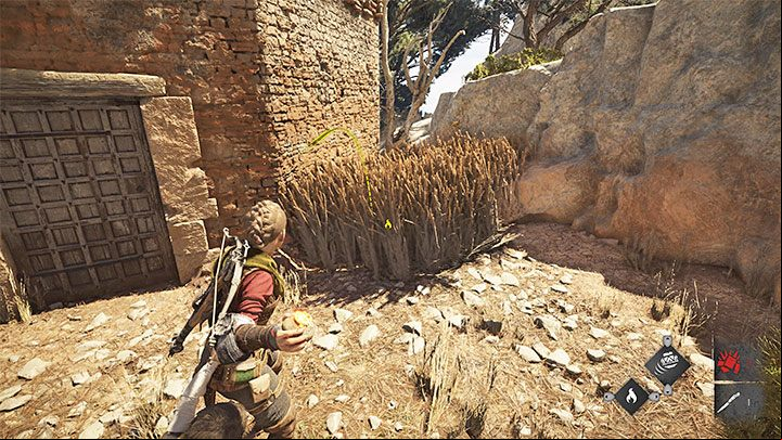 There is tall grass next to the ruins - set it on fire with Ignifer - Plague Tale Requiem: Chapter 9 (Tales and Revelations) - list of secrets - Hugo Herbarium and Souvenirs - A Plague Tale Requiem Guide, Walkthrough