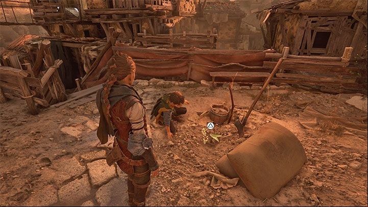 Look around the area and you should find a specimen (Lucas should stop next to it) - Plague Tale Requiem: Chapter 2 (Newcomers) - list of secrets - Hugo Herbarium and Souvenirs - A Plague Tale Requiem Guide, Walkthrough