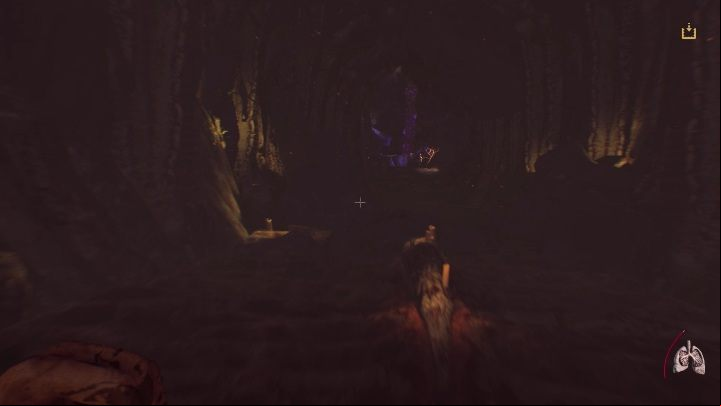 When you enter the gate, you will be troubled by different visions - Part 1 Mind Maze | Agony Walkthrough - Walkthrough - Agony Game Guide