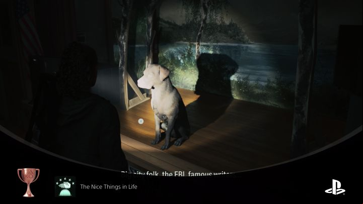 3 - Alan Wake 2: How to pet the dog? - Tasks and puzzles - Alan Wake 2 Guide