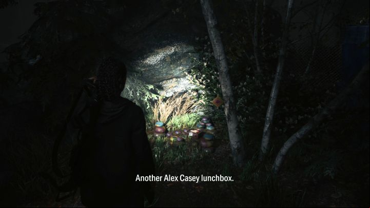 9 - Alan Wake 2: All Lunchboxes in Watery - Return - Saga Anderson - Alan Wake 2 Guide