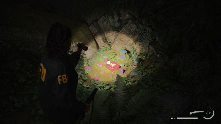13 - Alan Wake 2: All Lunchboxes in Cauldron Lake - Return - Saga Anderson - Alan Wake 2 Guide