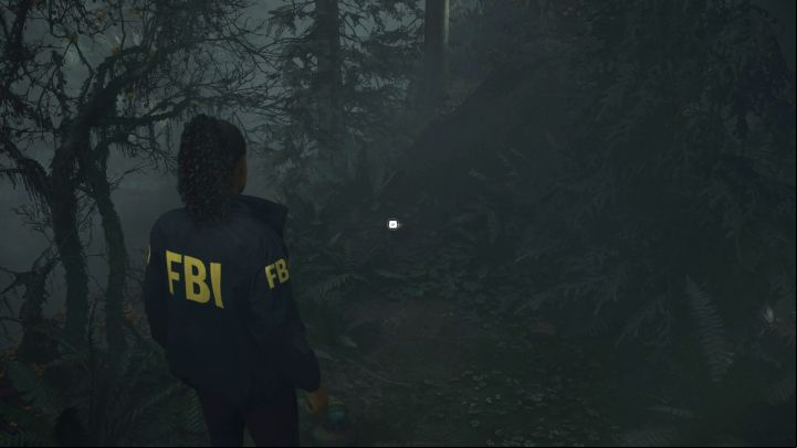 3 - Alan Wake 2: All Lunchboxes in Cauldron Lake - Return - Saga Anderson - Alan Wake 2 Guide