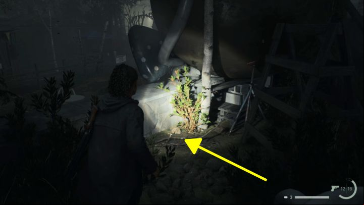 11 - Alan Wake 2: All Cult Stashes in Watery - Cult Stashes - Alan Wake 2 Guide