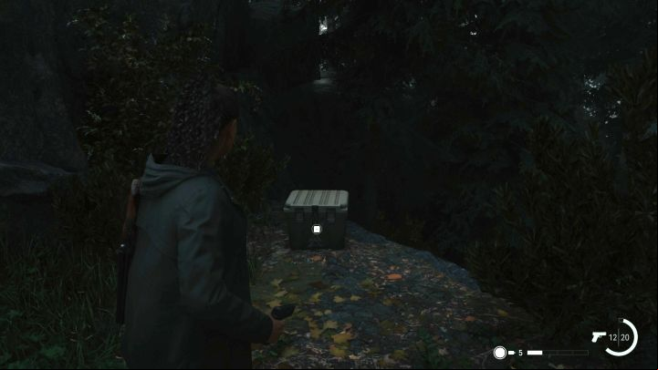 1 - Alan Wake 2: All Cult Stashes in Watery - Cult Stashes - Alan Wake 2 Guide