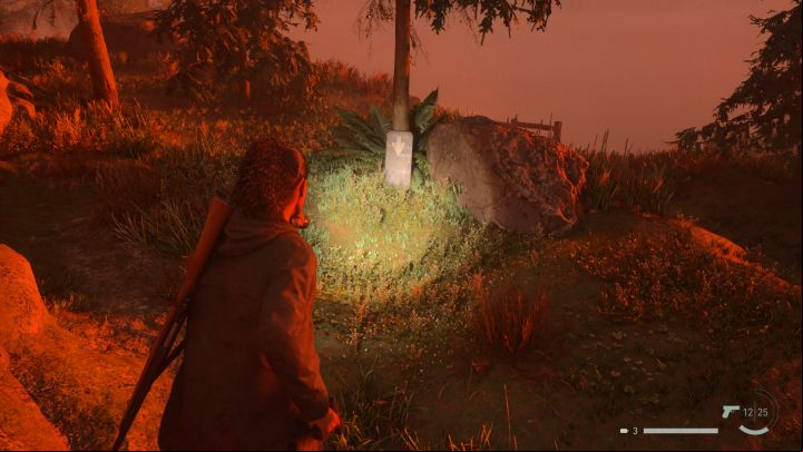 8 - Alan Wake 2: All Cult Stashes puzzles in Bright Falls - Cult Stashes - Alan Wake 2 Guide