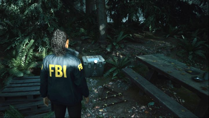 1 - Alan Wake 2: All Cult Stashes in Cauldron Lake - Cult Stashes - Alan Wake 2 Guide