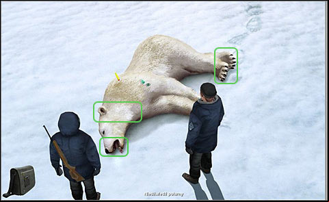 Take closer look (RMB) at the animal (a polar bear) and at its paws, neck and mouth - Stun the bear and perform standard actions - Day 1 - Alpha Polaris - Game Guide and Walkthrough