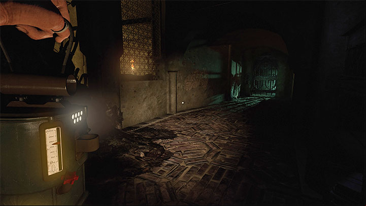 The second type of dangerous situation is the main character's increased fear level, which gradually leads her to lose her mind - Amnesia Rebirth: Death in the game - how to avoid? - FAQ - Amnesia Rebirth Guide