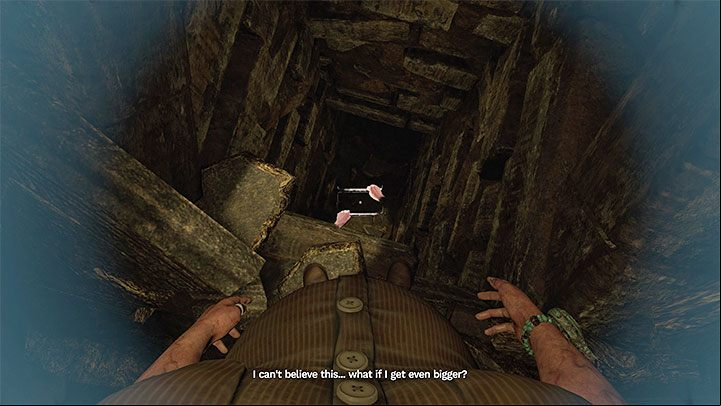 The new collapsed age is not where you will exit the chamber - Amnesia Rebirth: The Tomb of Tin Hinan - walkthrough, secrets - Walkthrough - Amnesia Rebirth Guide