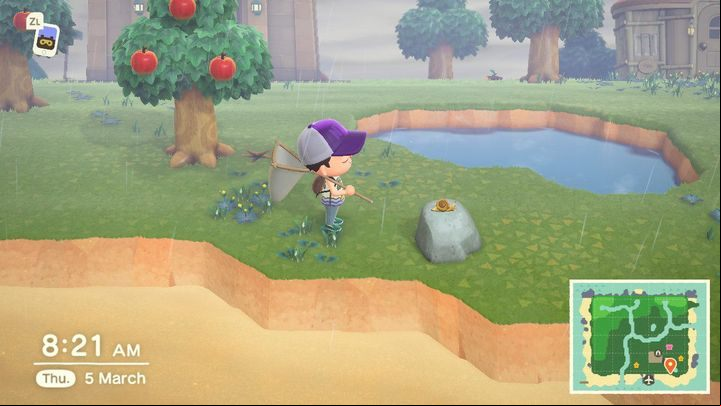 Snails and other cute animals! Oh dear! - ACNH: Beginners Guide - Basics - Animal Crossing New Horizons Guide