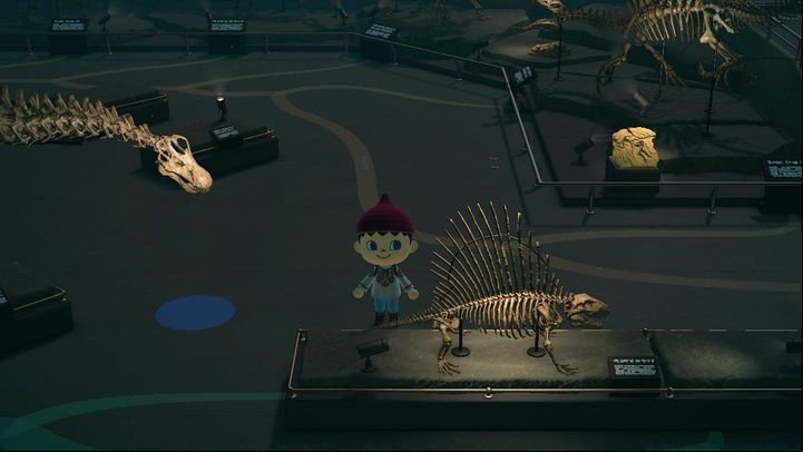 The museum looks great from inside, you should visit it from time to time. - ACNH: Beginners Guide - Basics - Animal Crossing New Horizons Guide
