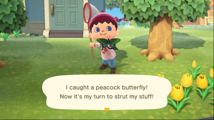 Gotcha! - ACNH: Insects - how to catch? - Items - Animal Crossing New Horizons Guide