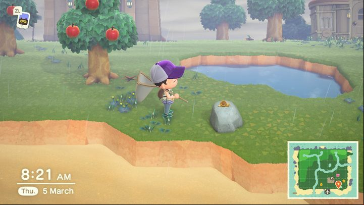 Some specimens can only be found when it rains. - ACNH: Insects - how to catch? - Items - Animal Crossing New Horizons Guide