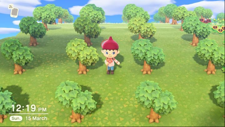 Do what you want. But create a fruit orchard. Its worth it! - ACNH: How to play? - Gameplay mechanics - Animal Crossing New Horizons Guide