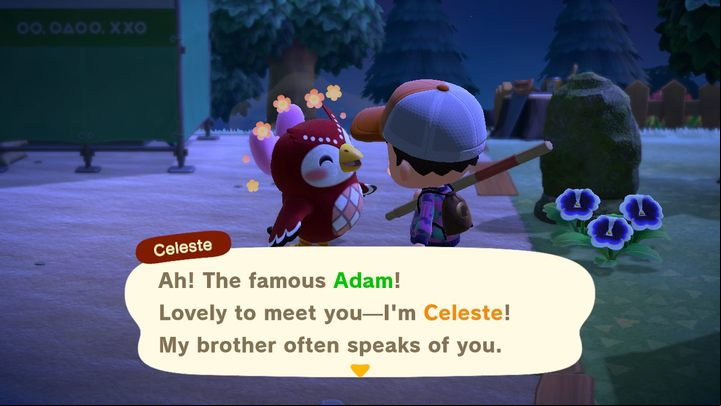 This is Celeste. - ACNH: Celeste - how to meet? - Characters visiting the island - Animal Crossing New Horizons Guide