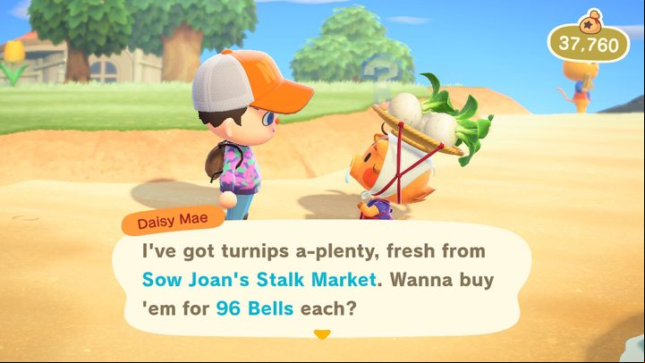 This is Daisy Mae. - ACNH: Daisy Mae, Turnip Lady - how to meet? - Characters visiting the island - Animal Crossing New Horizons Guide