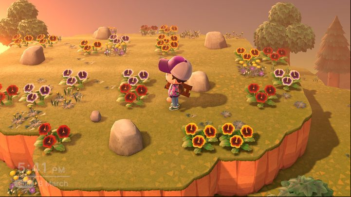 A lot depends on which island you are - ACNH: Desert islands, travelling - Basics - Animal Crossing New Horizons Guide