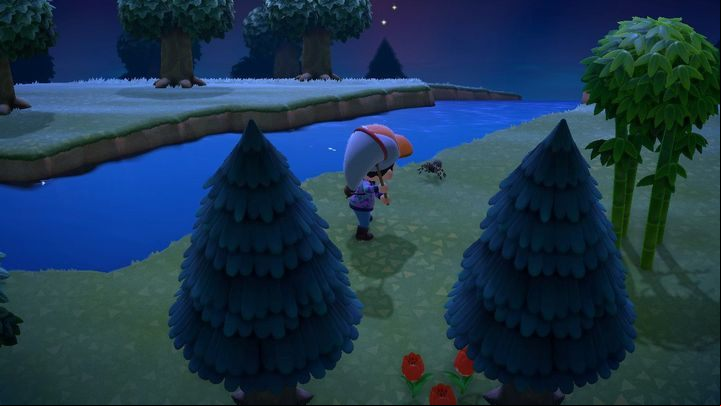 Now the tarantula is disturbed. Wait until it calms down before you go any further. - ACNH: Tarantula spider - how to catch? - Items - Animal Crossing New Horizons Guide