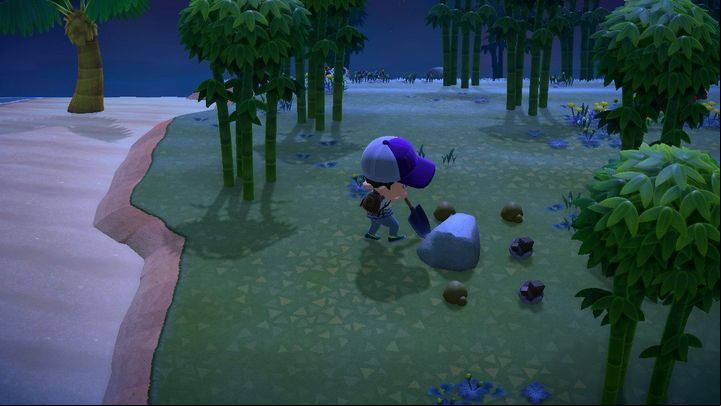It depends on your luck and how much time you spend in the game - ACNH: Tarantula spider - how to catch? - Items - Animal Crossing New Horizons Guide