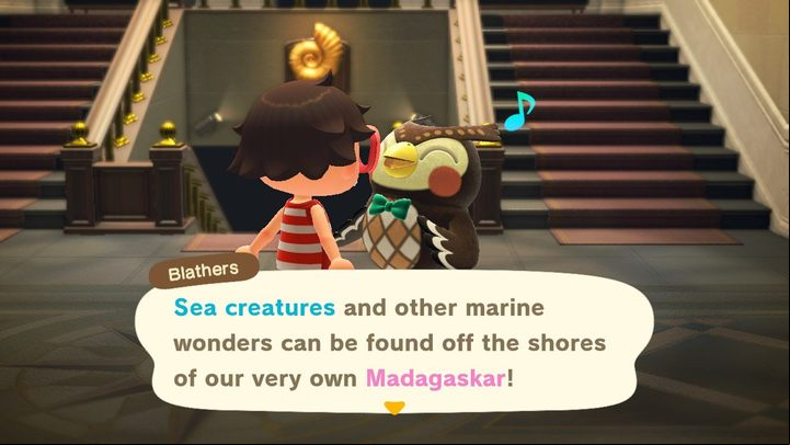 Sea creatures can be donated to the museum. - ACNH: Summer update (1.3.0) - whats new? - Basics - Animal Crossing New Horizons Guide
