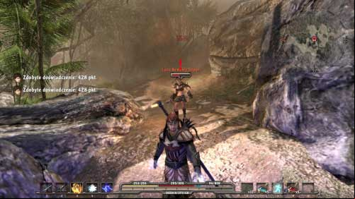 You will get this quest if you talk with Rauter imprisoned in cage on the beach (M3, 2) - Behind the Lava Fields - Walkthrough - Arcania: Fall of Setarrif - Game Guide and Walkthrough
