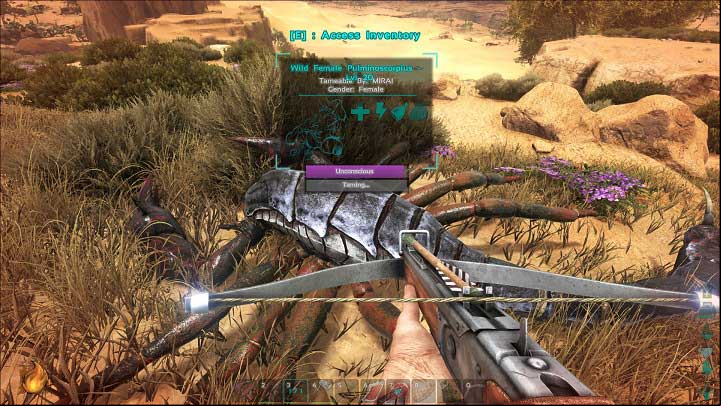 The violet bar indicates the time until the creature will wake up - it is closely related to the amount of torpor - ARK: Taming basics - Taming - ARK Survival Evolved Guide