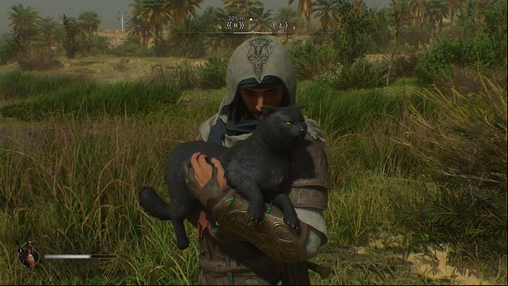 Basim will pick up the animal and tenderly pet it - AC Mirage: Can you pet cats? - FAQ - AC Mirage Guide