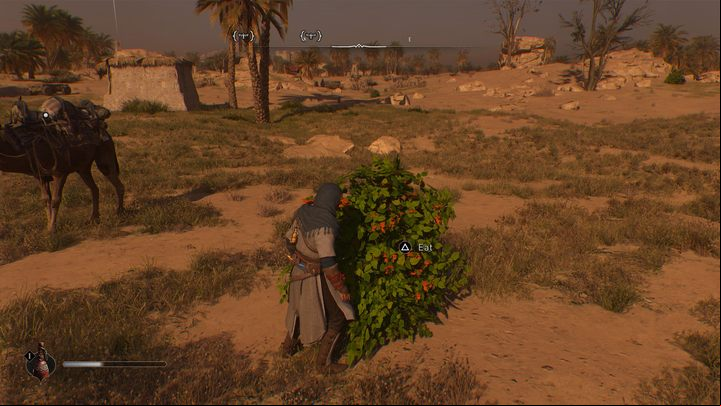 Food from stalls and wild fruits found on the streets of Baghdad will help you regain some of your lost health - AC Mirage: Tips and tricks - Basics - AC Mirage Guide