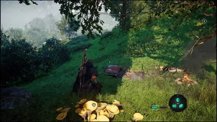 The scheme lies on a small meadow, right next to a small tree - AC Valhalla Dawn of Ragnarok: Cosmetic Schemes (Vangrinn) - list of all - Vangrinn - Assassins Creed Valhalla Guide and Walkthrough