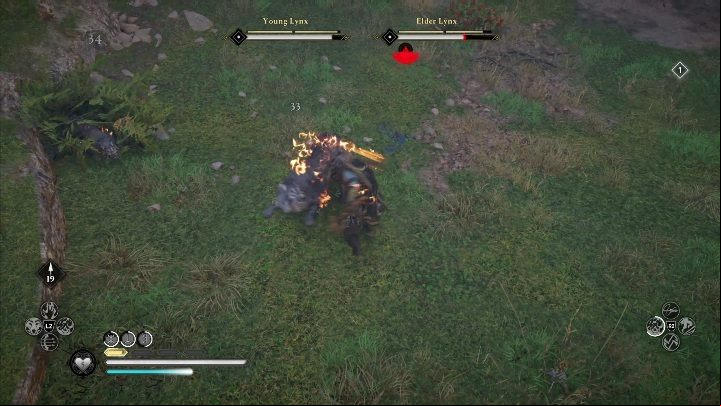 Go to this opponent with full health, rations and full adrenaline bar - Assassins Creed Valhalla: Legendary Animal - Hamtunscire secrets, locations - Hamtunscire - Assassins Creed Valhalla Guide and Walkthrough