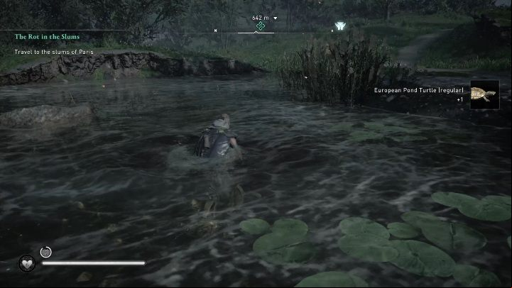 You will find the turtles in a small pond a hundred metres north of the altar - AC Valhalla Siege of Paris: Offering Altar, Melunois - secrets, locations - Melunois - Assassins Creed Valhalla Guide and Walkthrough
