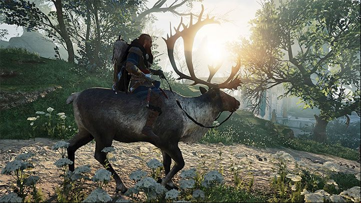 During your stay in Asgard, you will use an alternative mount - Assassins Creed Valhalla: Can you own a pet? - Eivor - Assassins Creed Valhalla Guide and Walkthrough