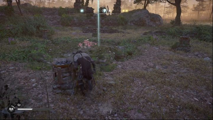 You will find Fly Agaric in the northern part of the region, just below the Monastery on Ely Island - Assassins Creed Valhalla: Fly Agaric - Grantebridgescire secrets, locations - Grantebridgescire - Assassins Creed Valhalla Guide and Walkthrough