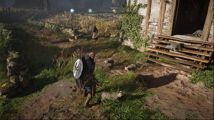 Open the building and the cats will run out into the field and start killing rats - Assassins Creed Valhalla: The Doom Book of Cats - Grantebridgescire - Assassins Creed Valhalla Guide and Walkthrough