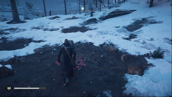 You will find fly agarics in the southwestern part of the location - Assassins Creed Valhalla: Fly Agaric - Hordafylke secrets, locations - Hordafylke - Assassins Creed Valhalla Guide and Walkthrough