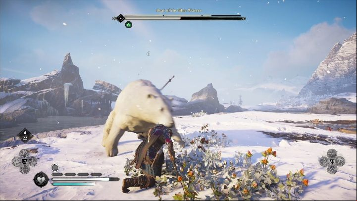 The bear's weak point is on its back, where the knife is stuck - Assassins Creed Valhalla: Legendary Animal - Hordafylke secrets, locations - Hordafylke - Assassins Creed Valhalla Guide and Walkthrough