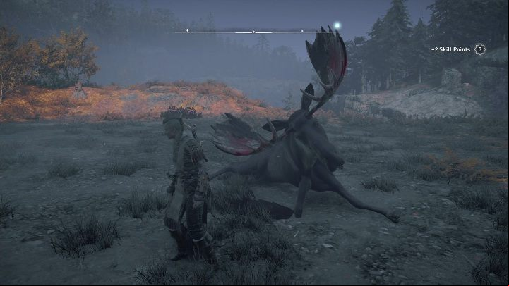 For defeating the bear, you will get its head and 129 pieces of leather - Assassins Creed Valhalla: Legendary Animal - Vinland secrets, locations - Vinland - Assassins Creed Valhalla Guide and Walkthrough