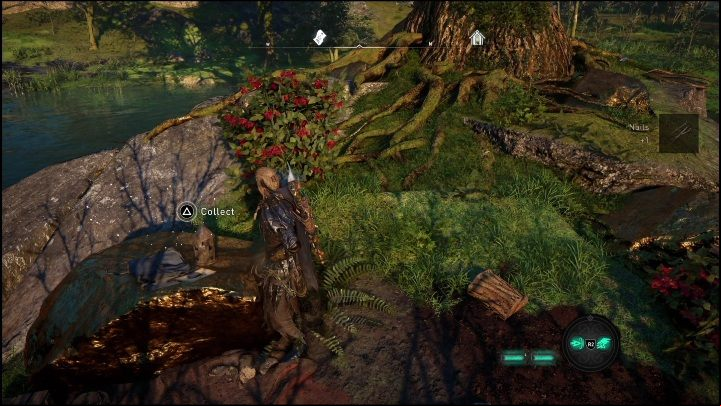 This scheme lies on a small rock, right next to a large tree - AC Valhalla Dawn of Ragnarok: Cosmetic Schemes (Svaladal) - list of all - Svaladal - Assassins Creed Valhalla Guide and Walkthrough