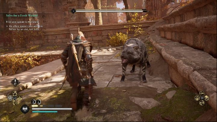 The opponent's weak points are its front paws - Assassins Creed Valhalla: Legendary Animal - Lincolnscire secrets, locations - Lincolnscire - Assassins Creed Valhalla Guide and Walkthrough