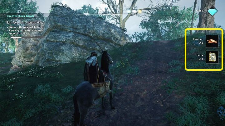 Of course, you will be rewarded accordingly with experience points, luxury goods and raw materials for completing the Royal Demand - AC Valhalla Wrath of the Druids: What are Royal Demands? - FAQ - Assassins Creed Valhalla Guide and Walkthrough