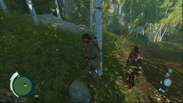 After the conversation, head to the green zone and eventually two red dots marking rabbits will appear - Sequence 4 - Hunting Lessons | Assassins Creed III Remastered Walkthrough - Walkthrough - Assassins Creed III Game Guide & Walkthrough