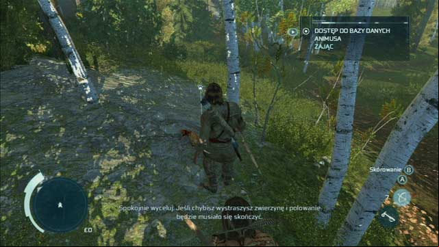 Kill one of the animals by holding down and then releasing the shoot button and afterwards skin it with the interaction button - Sequence 4 - Hunting Lessons | Assassins Creed III Remastered Walkthrough - Walkthrough - Assassins Creed III Game Guide & Walkthrough