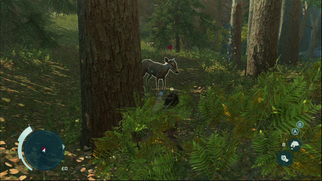 When the animal gets close enough, you will be able to kill them bare-handed (choose this option from the inventory) - Sequence 4 - Hunting Lessons | Assassins Creed III Remastered Walkthrough - Walkthrough - Assassins Creed III Game Guide & Walkthrough