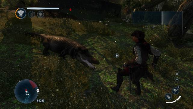 Next to every alligator, there is an egg - Sequence 2 - The storyline - Assassins Creed: Liberation HD - Game Guide and Walkthrough