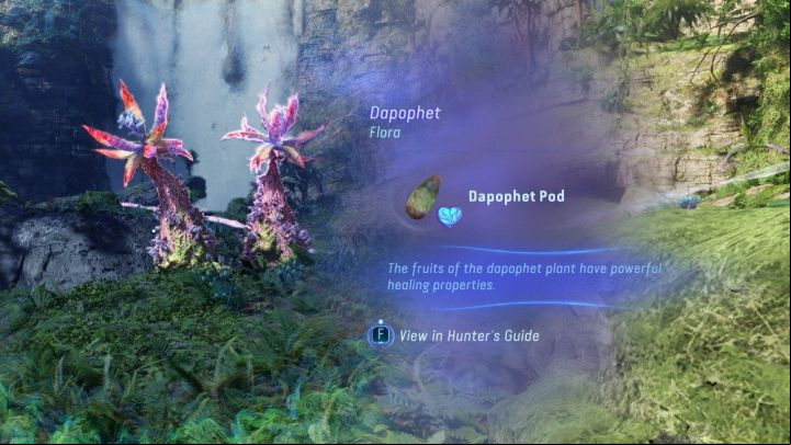 We describe the topic of health and increasing base health on the How to heal and increase base health - Avatar Frontiers of Pandora: How to increase the capacity of Healing Pouch? - FAQ - Avatar Frontiers of Pandora Guide