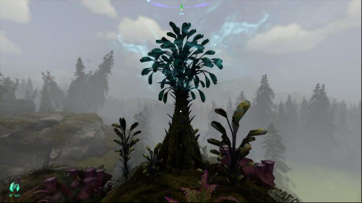 67 - Avatar Frontiers of Pandora: All Bellsprigs - Clouded Forest - Secrets and Collectibles - Avatar Frontiers of Pandora Guide