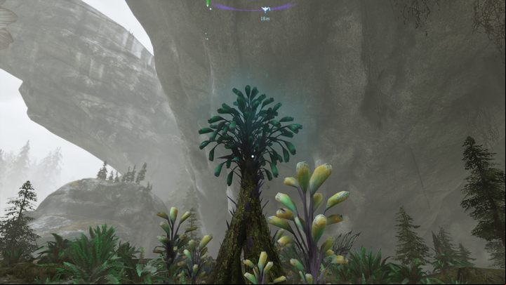 53 - Avatar Frontiers of Pandora: All Bellsprigs - Clouded Forest - Secrets and Collectibles - Avatar Frontiers of Pandora Guide